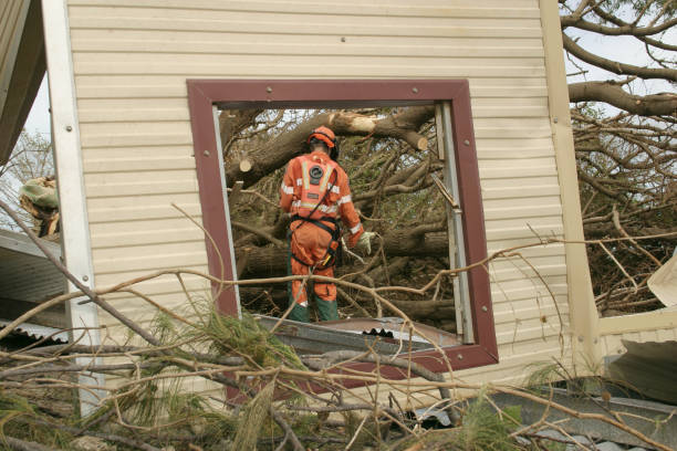 How Our Tree Care Process Works  in  Jay, OK