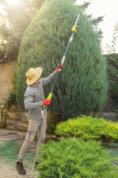Best Commercial Tree Services  in Jay, OK